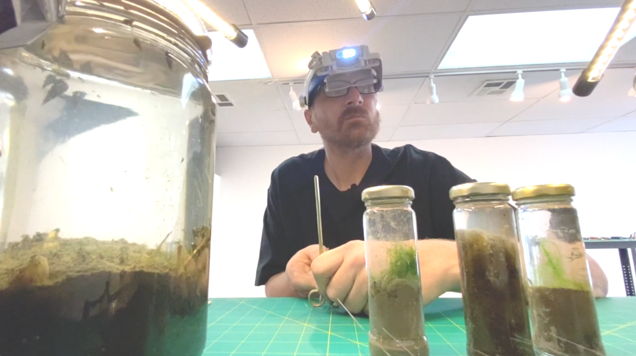 Screen Shot 2021-11-01 at 10.52.30 AM.png