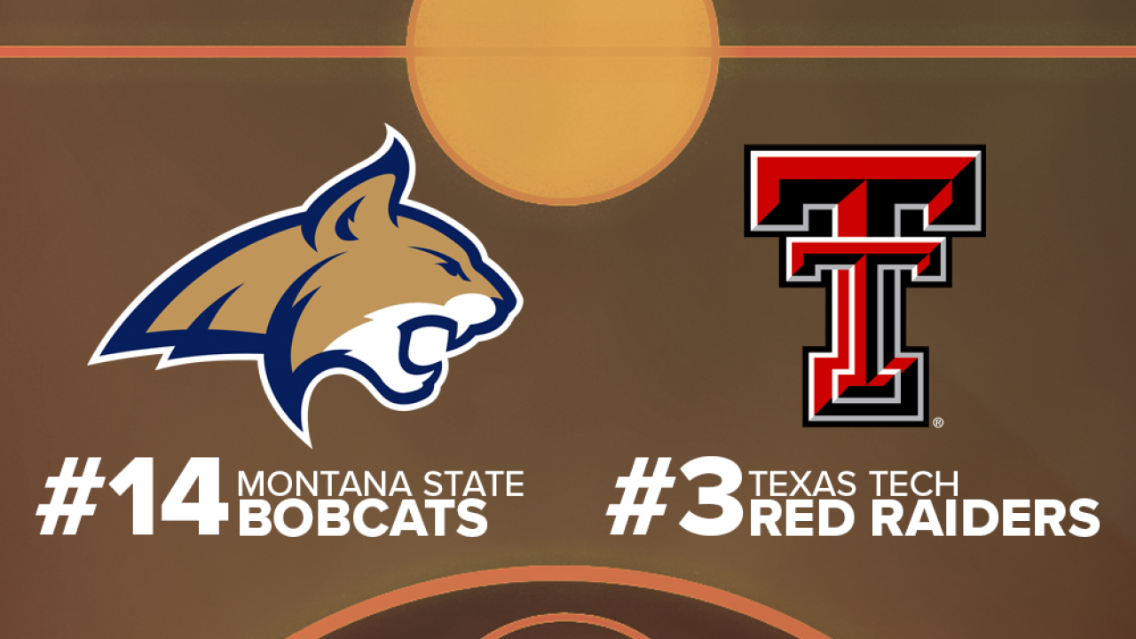 Cats March Madness.png