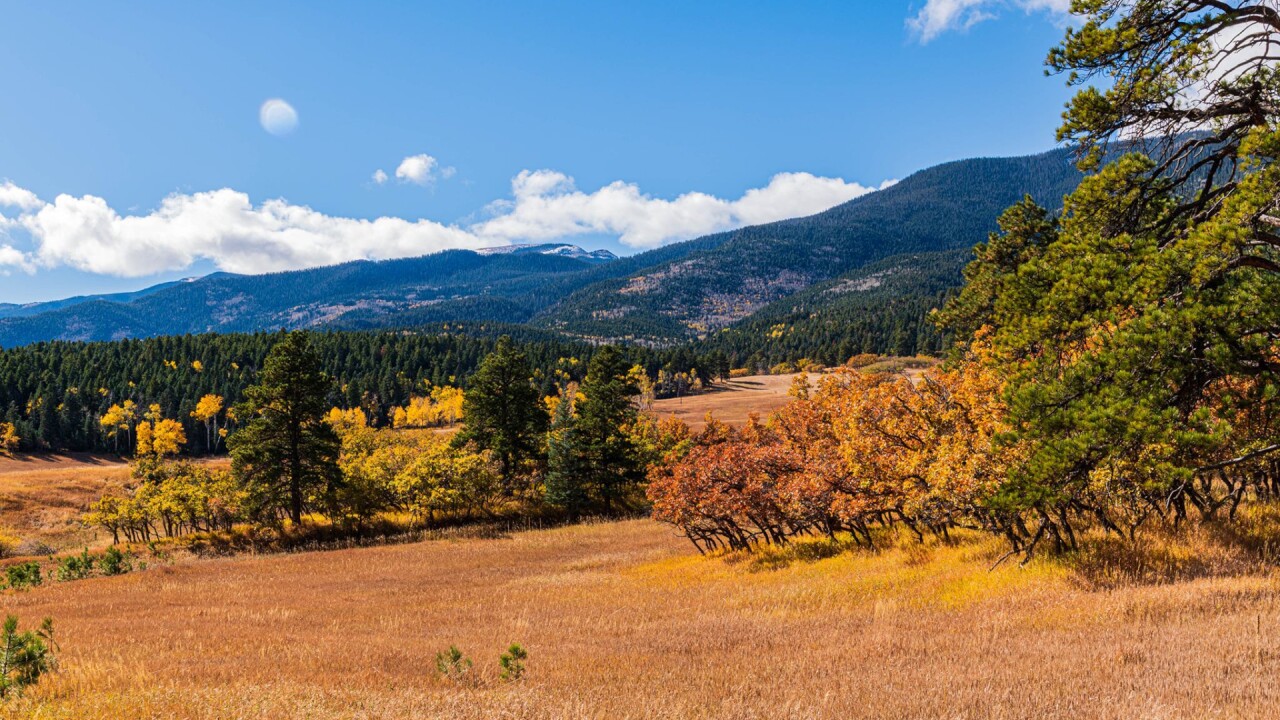Wet Mountains between Rye and San Isabel 2021