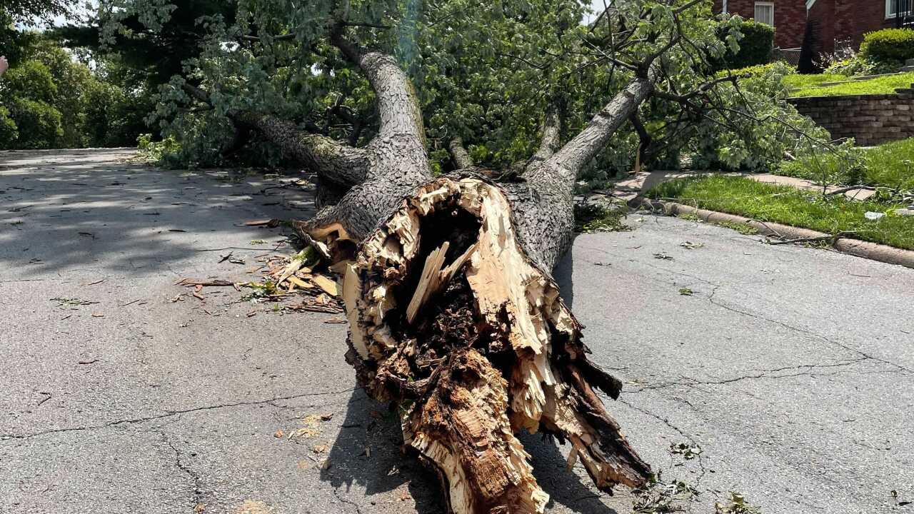 City Of Omaha Provides Updates On Storm Cleanup Efforts