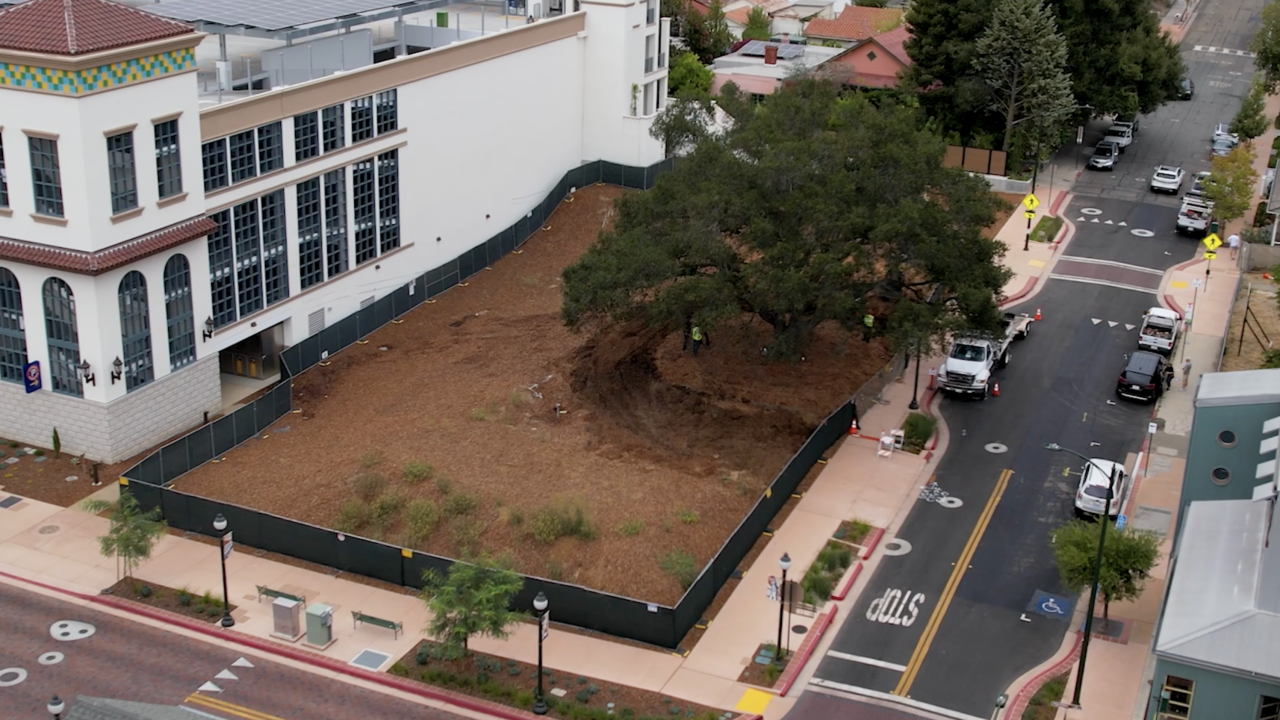 SLO Rep tree.png