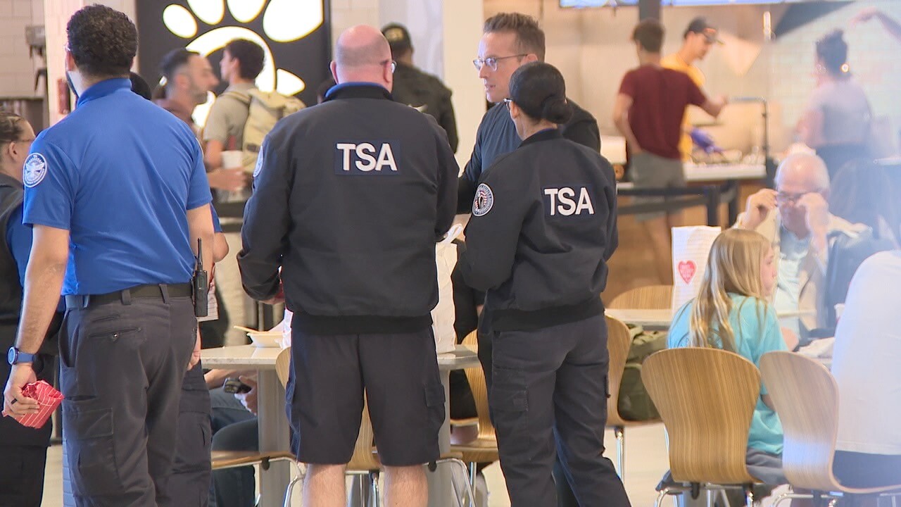 Government shutdown and fuel prices impact spring break air travel