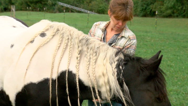 Screen Shot 2021-09-22 at 4.34.04 PM.png