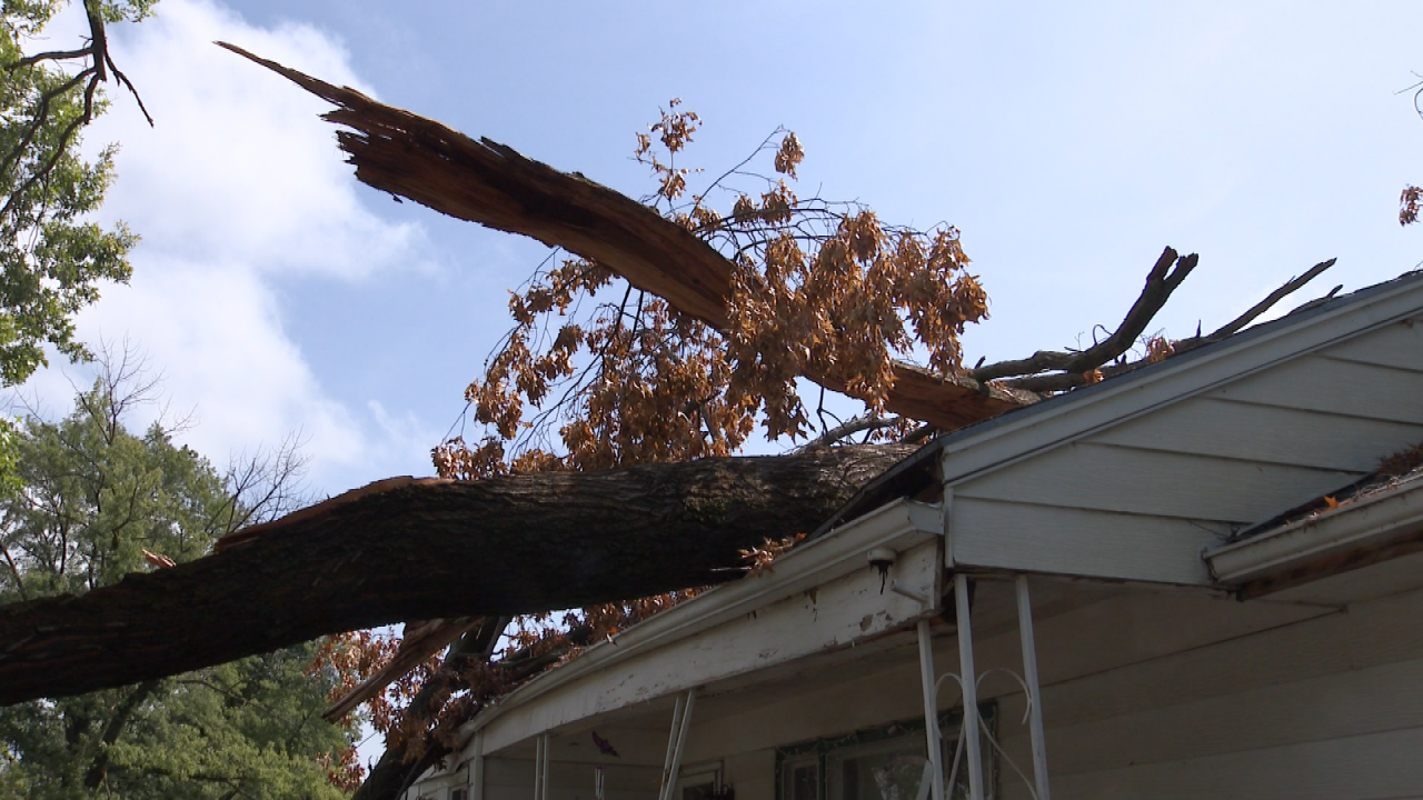 tree on top of home.png