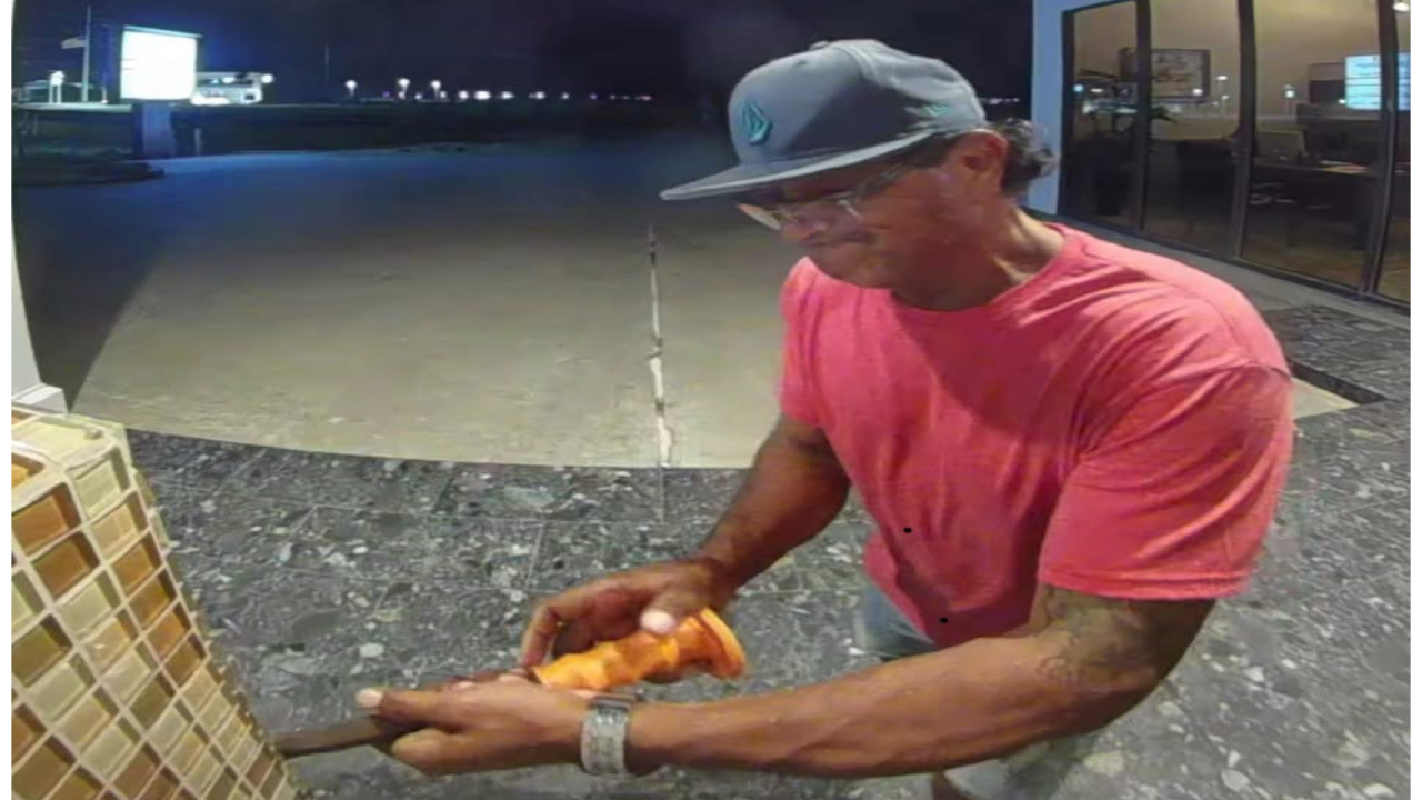 Alleged suspect.png