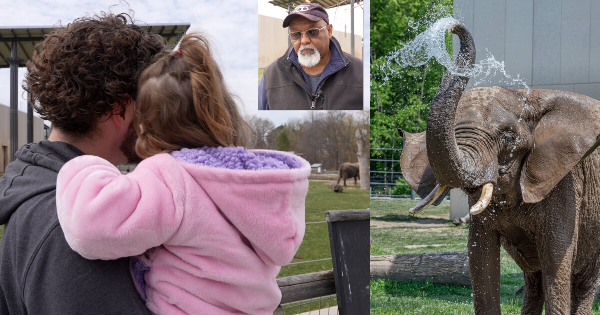 Milwaukee County Zoo, visitors remember beloved elephant Brittany