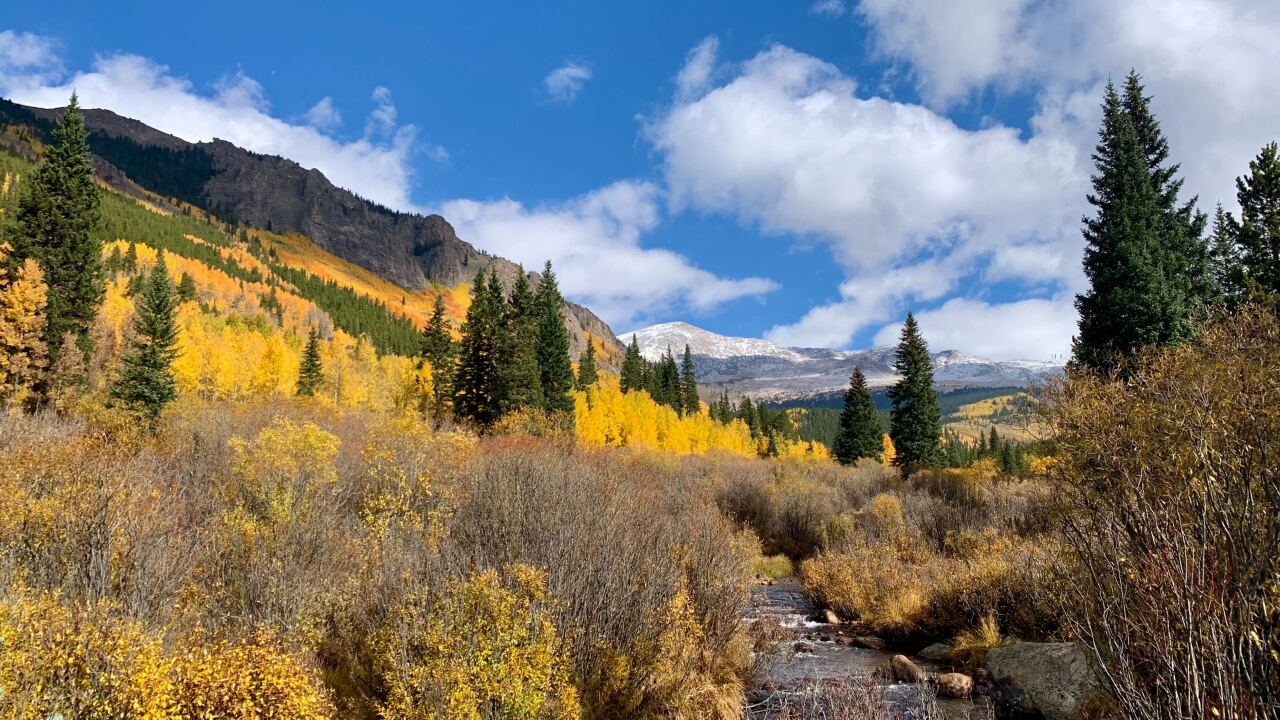 An Early Forecast For When Colorado Will See Peak Fall Color In 2022 an-early-forecast-for-when-colorado-will-see-peak-fall-color-in-2022
