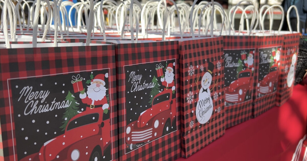 Gadsden County shopping event gives families some holiday relief - Vimarsana News