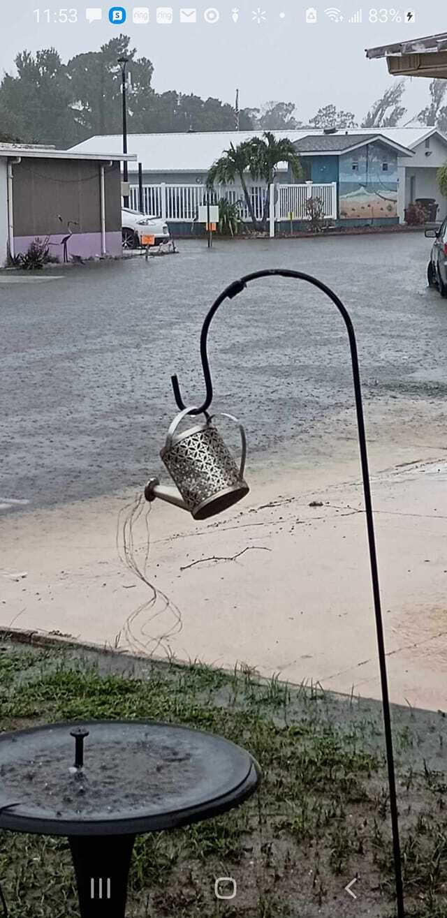 Sunseekers RV Park in NFM.jpeg