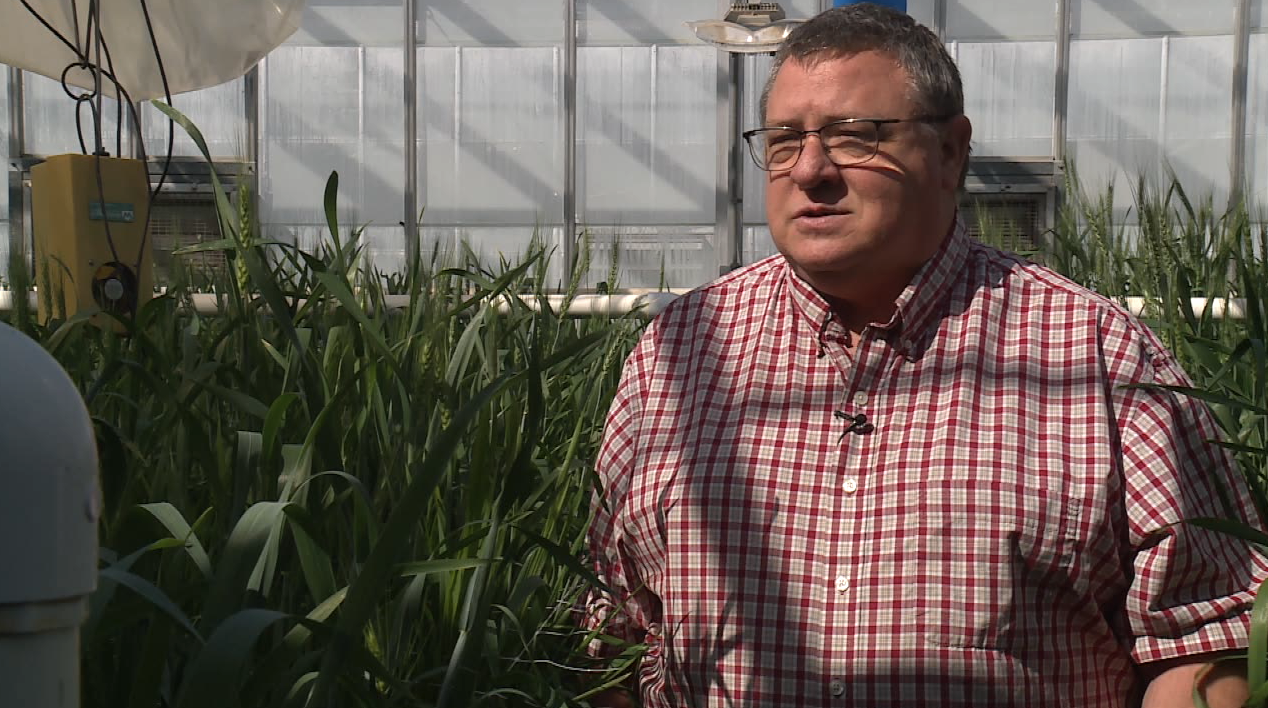 Screenshot 2024-04-20 at 3.31.51 PM.png