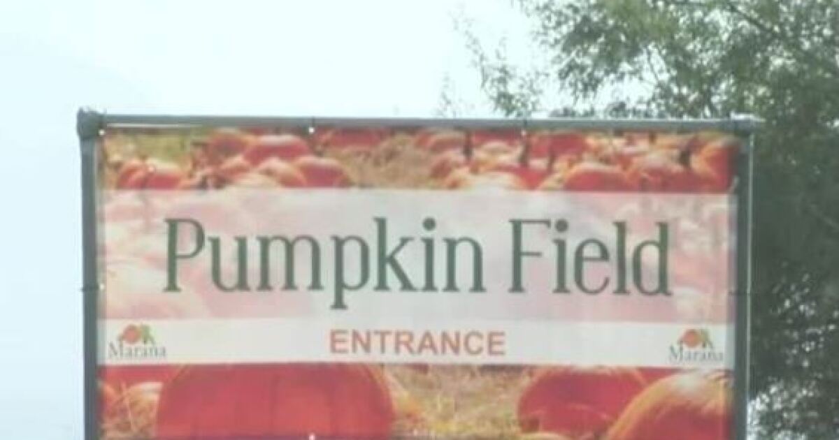 Marana Pumpkin Patch set to open next weekend