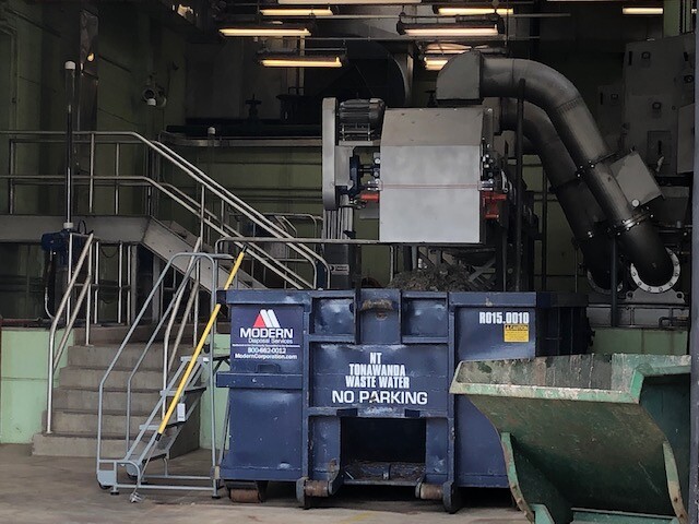 plant 1.jpg