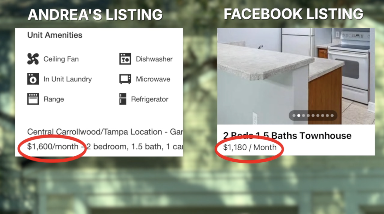 Facebook and Andrea's Listing