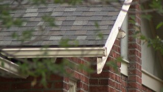 Roofing companies
