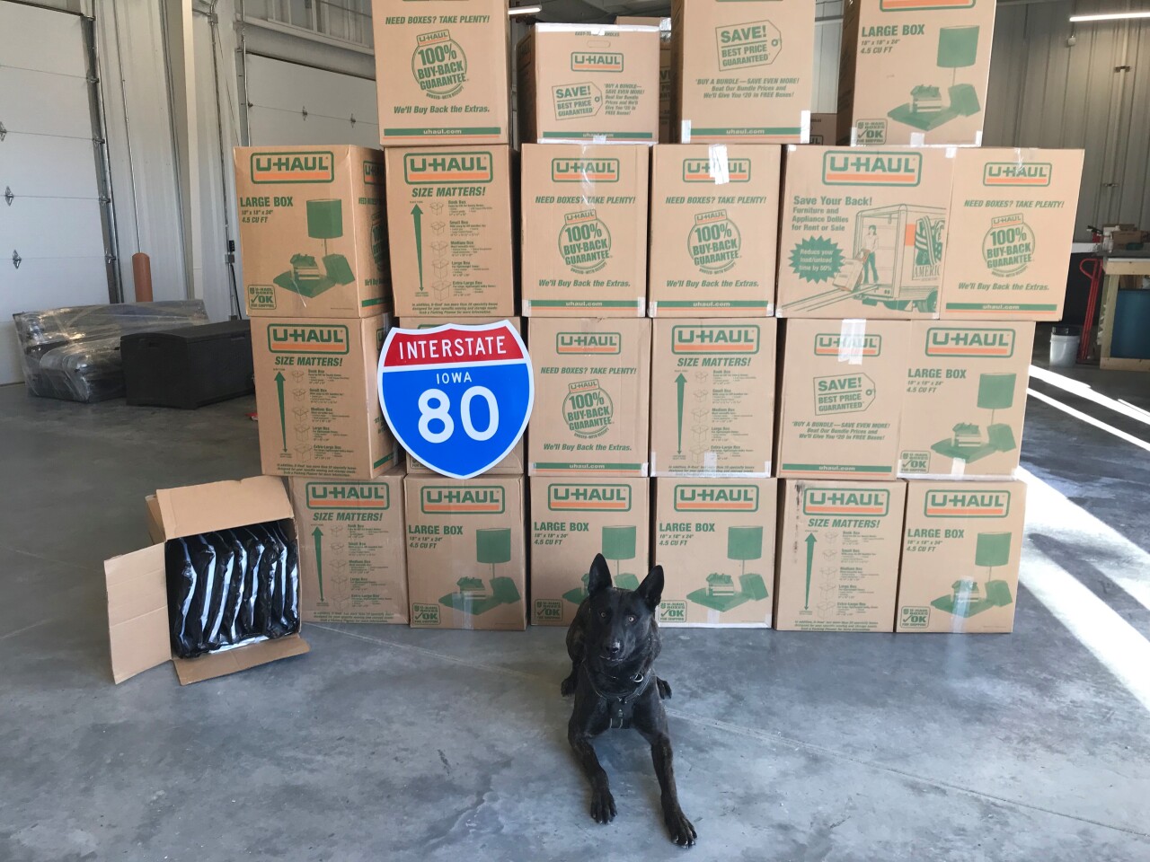 DMITRY BORISOV POT BUST BY CB POLICE