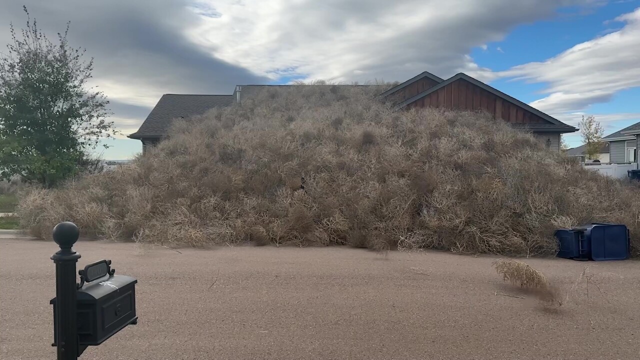 Great Falls neighborhood overwhelmed with tumbleweeds (October 2023)