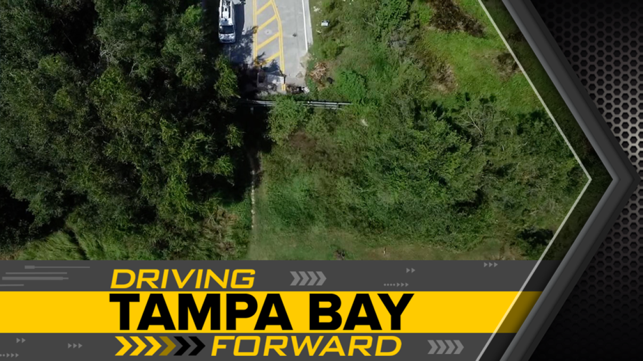 Bridging The Gap Between Communities In New Tampa And Wesley Chapel - dtbf pasco png