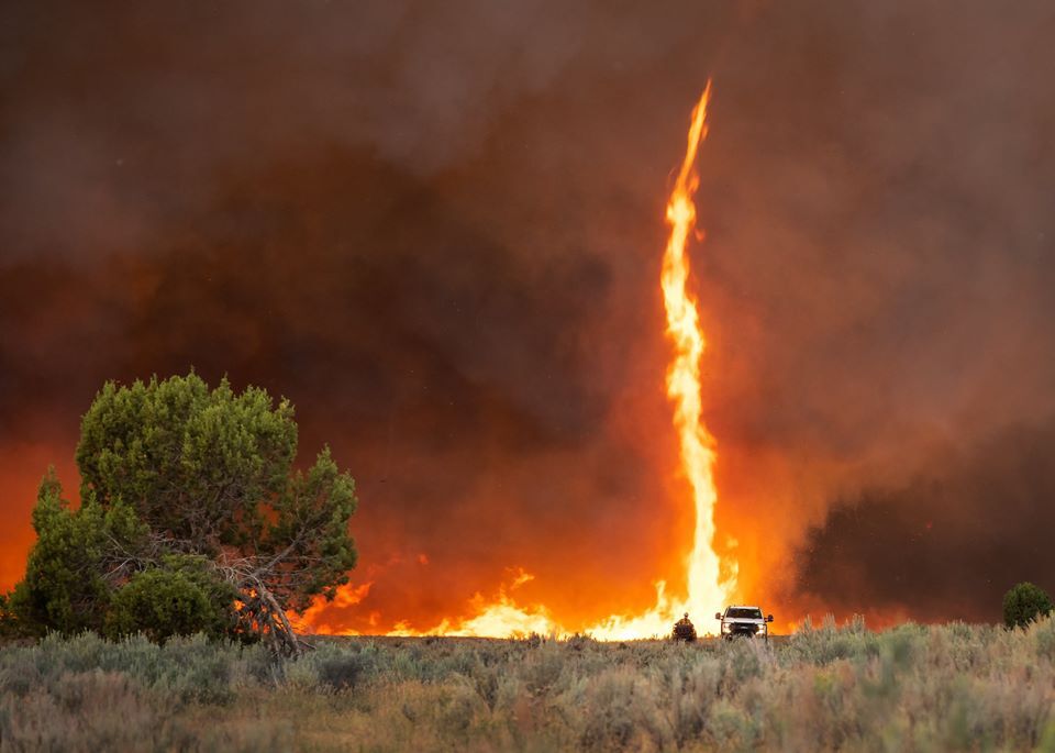 Pine Gulch Fire_Wyoming Hotshots/Pine Gulch Fire 3