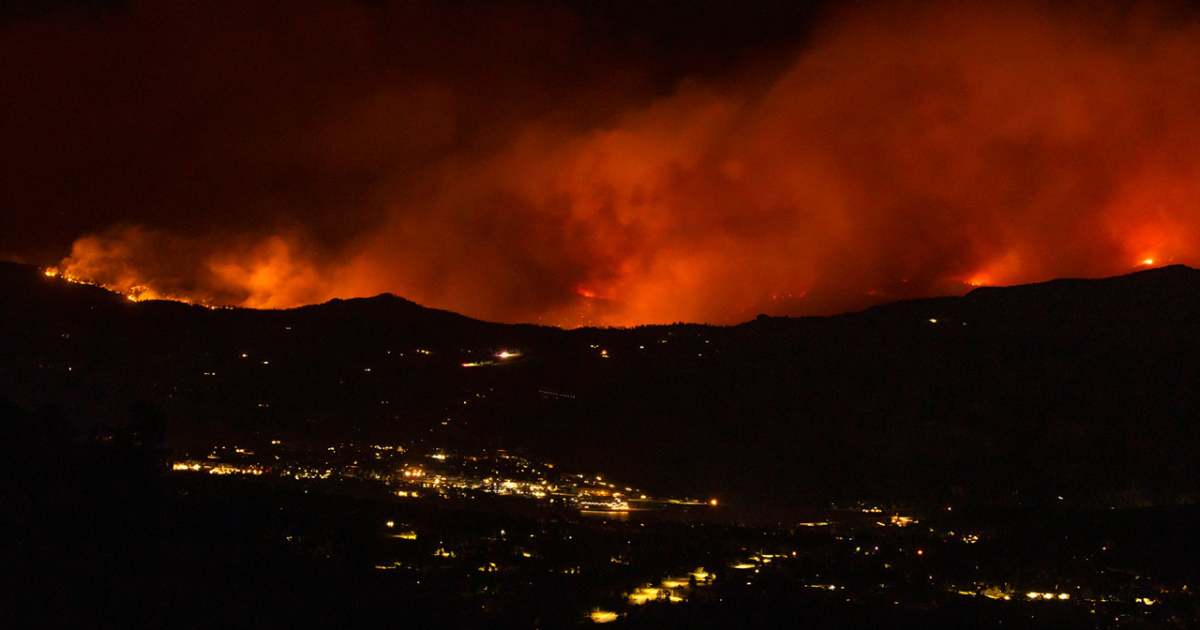 CSU economics, environment expert examines cost of wildfires - Vimarsana News