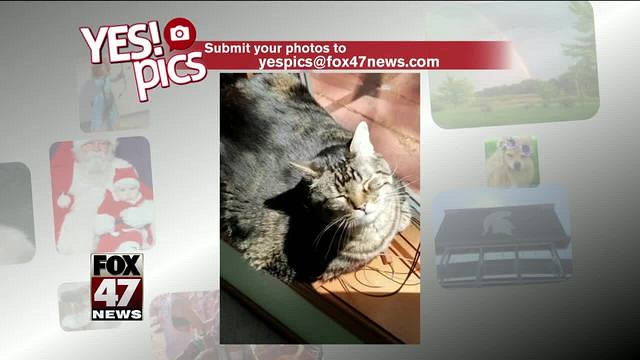 Yes! Pics: 6/19/18