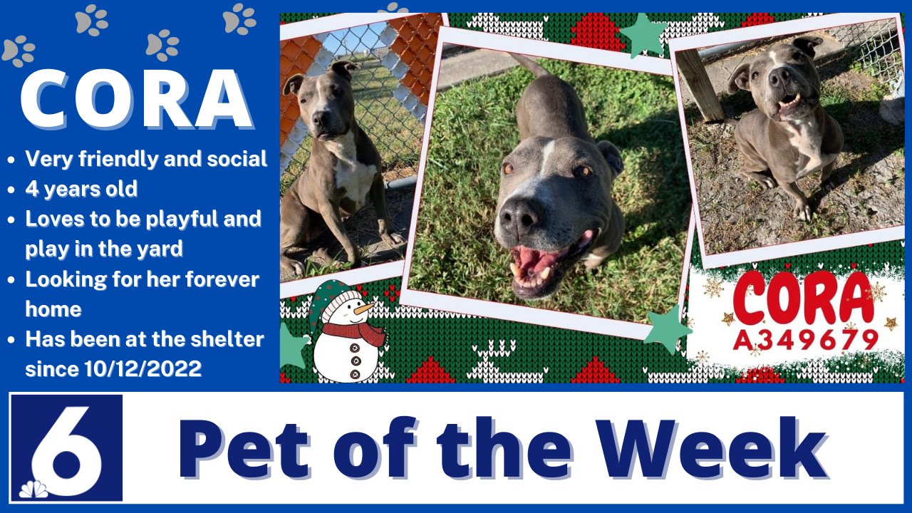 Pet of the week: Cora