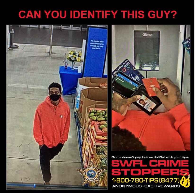 Attempt to Identify.jpg