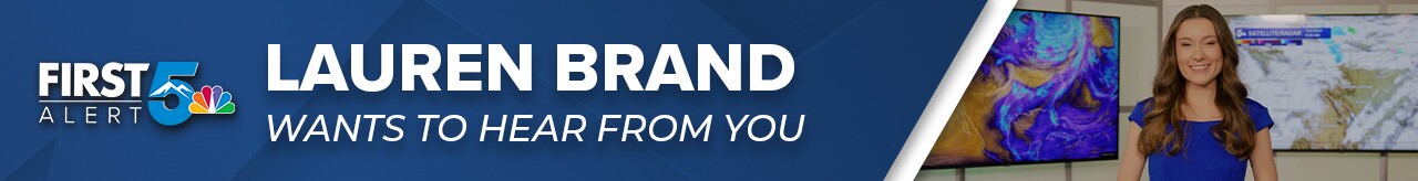 Lauren Brand Banner Image