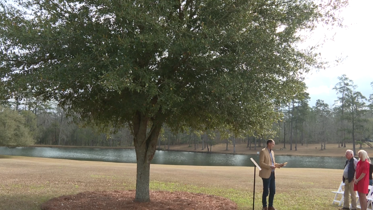 Thomasville's "Baby Big Oak" receives Arbor Day Commemoration