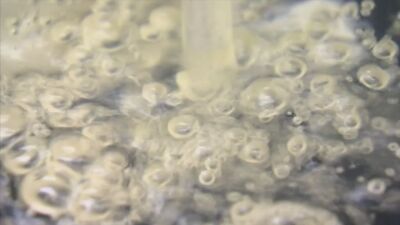 Boil Water Advisory: Turkey Creek