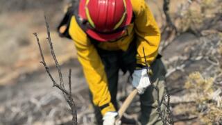 sowbelly fire firefighter.jpg