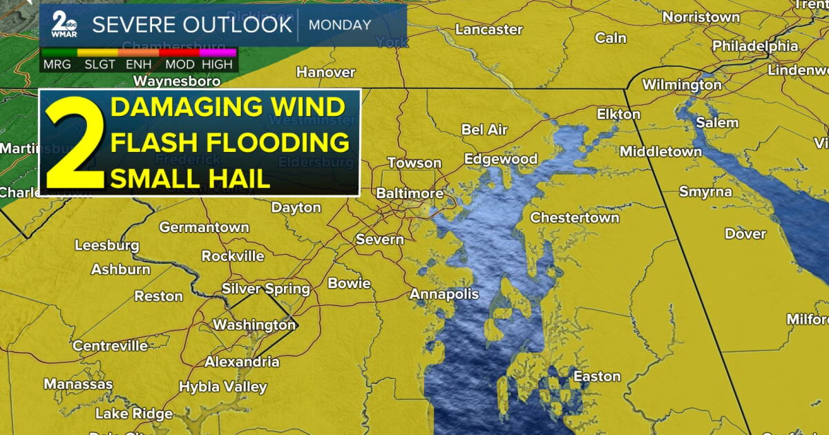 Hot & humid with showers & storms