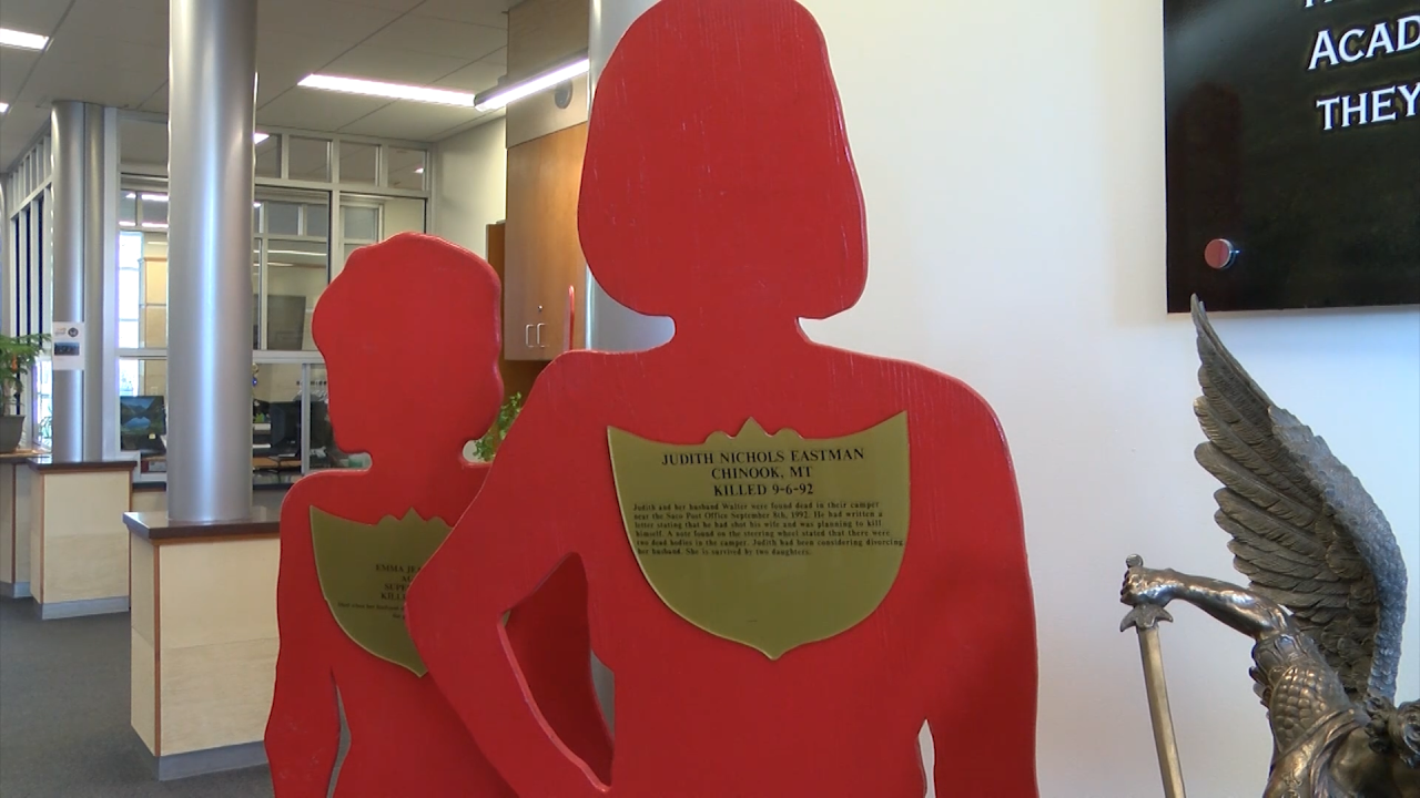 Silent Witness Exhibit