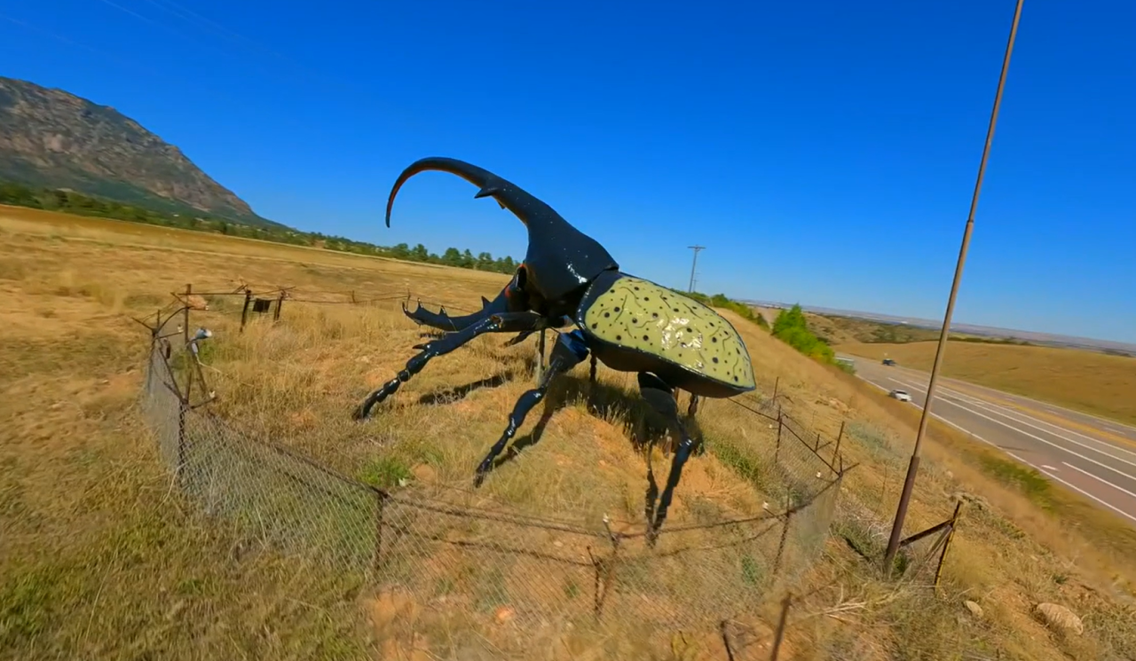 World's Largest beetle