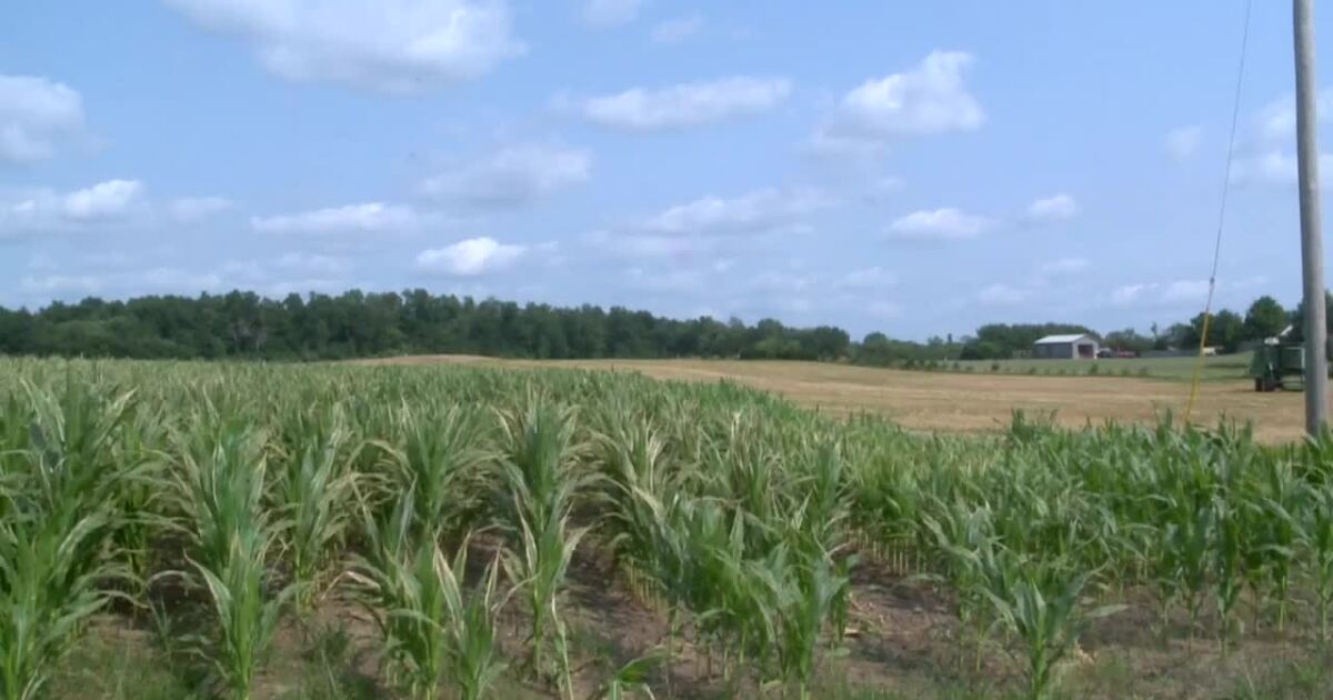 Byron Township board unanimously rejects rezoning proposal for 58-acre housing development