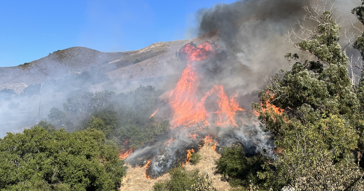 Fires break out near SLO High School, Cal Poly - Vimarsana News