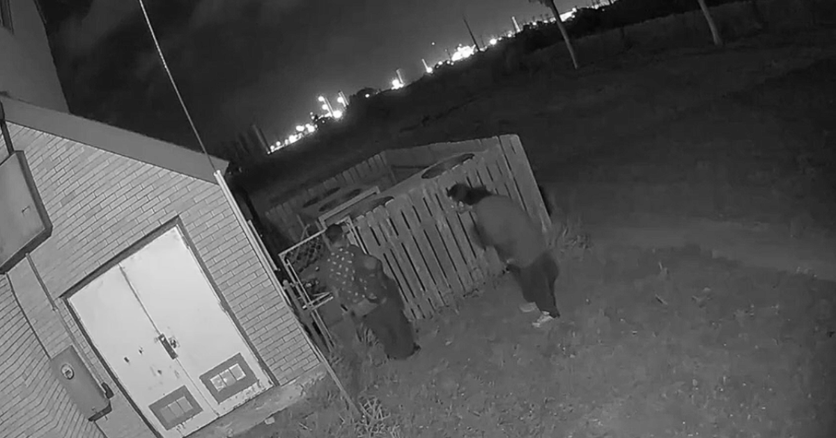 Theft News Image