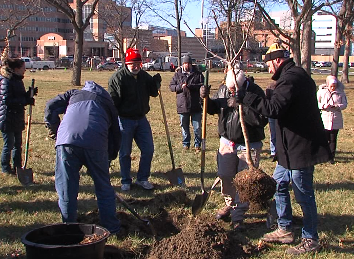 Screenshot 2023-11-28 160628.png