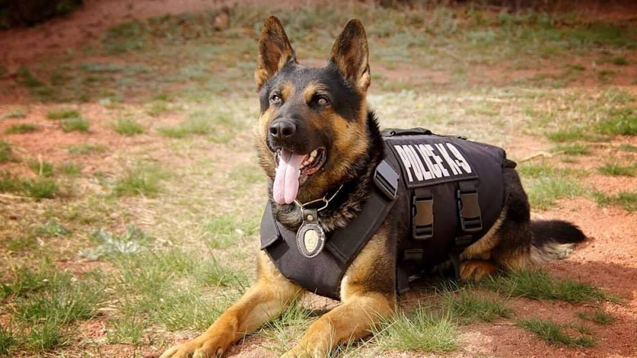 Aurora K9 Unit.jpg