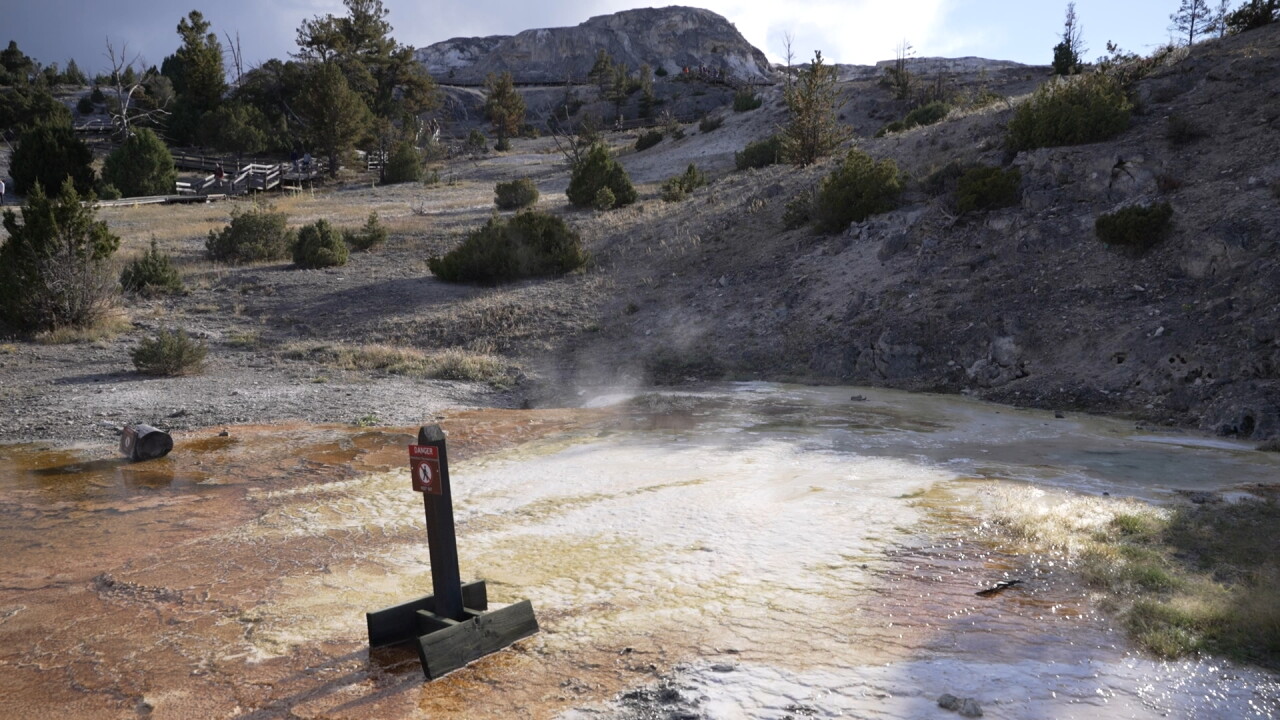 yellowstone4_2.25.1.jpg