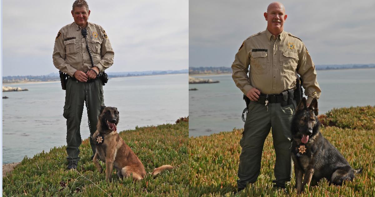 Memorial service held for retired San Luis Obispo Co. Sheriff K9s - Vimarsana News