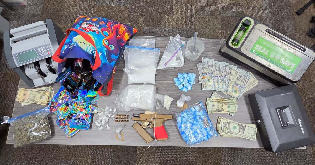 Man arrested after deputies find drugs, gun and cash during Tampa raid: HCSO