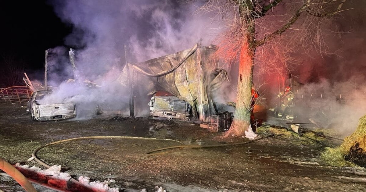 14 alpacas, goat die in barn fire at Paola farm, animal rescue - Vimarsana News