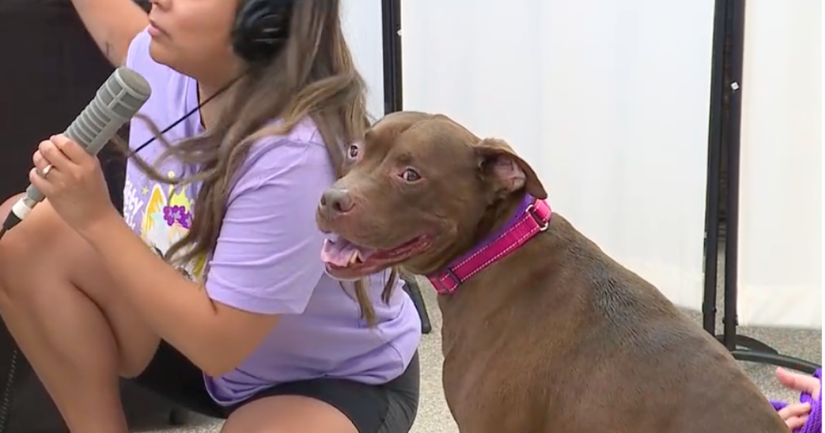BARCS hosted adoption event to help address overcrowding