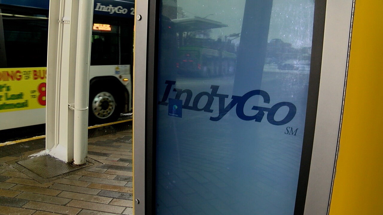 indygo snow 5.jpg
