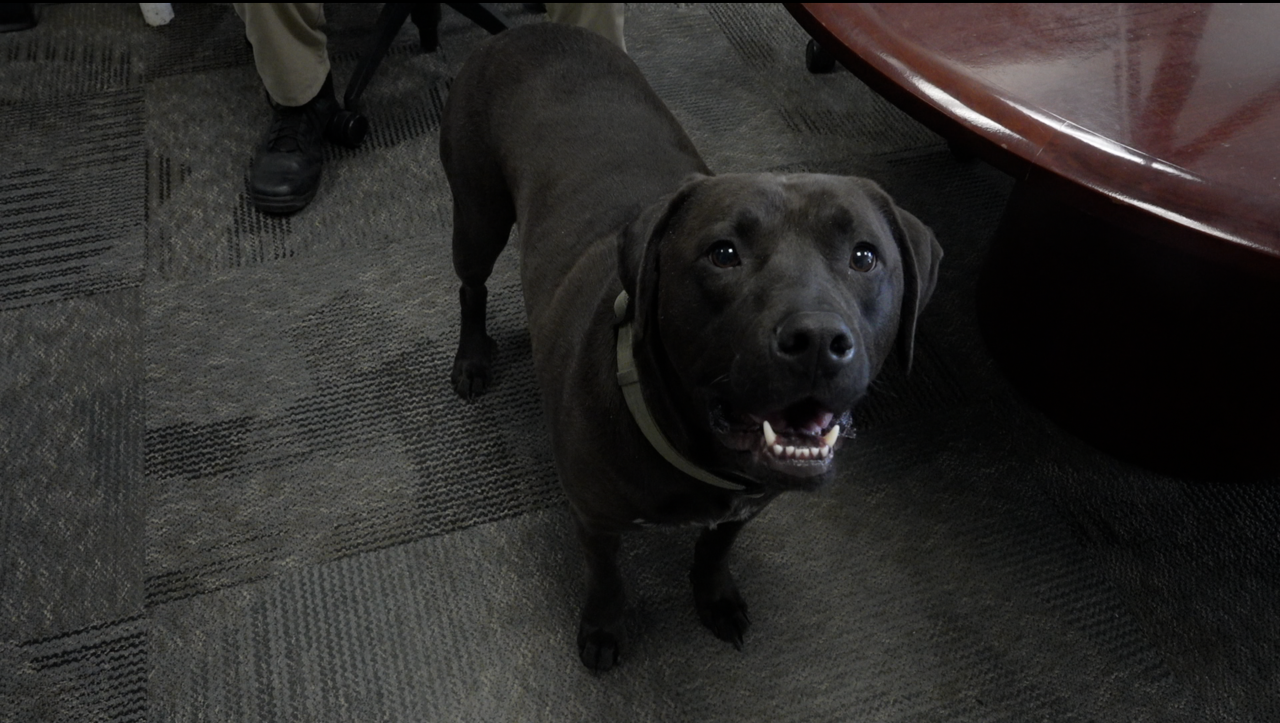 Oliver, Jackson County Sheriff's Office