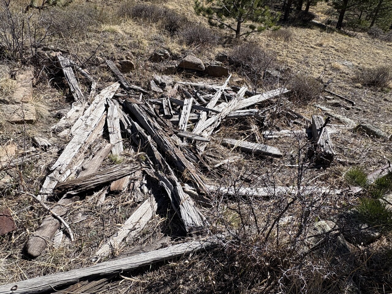 Walker Homestead cellar