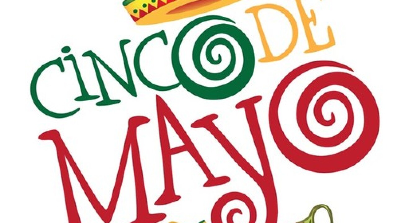 Cinco de Mayo Black Adult T-Shirt Got Salsa
