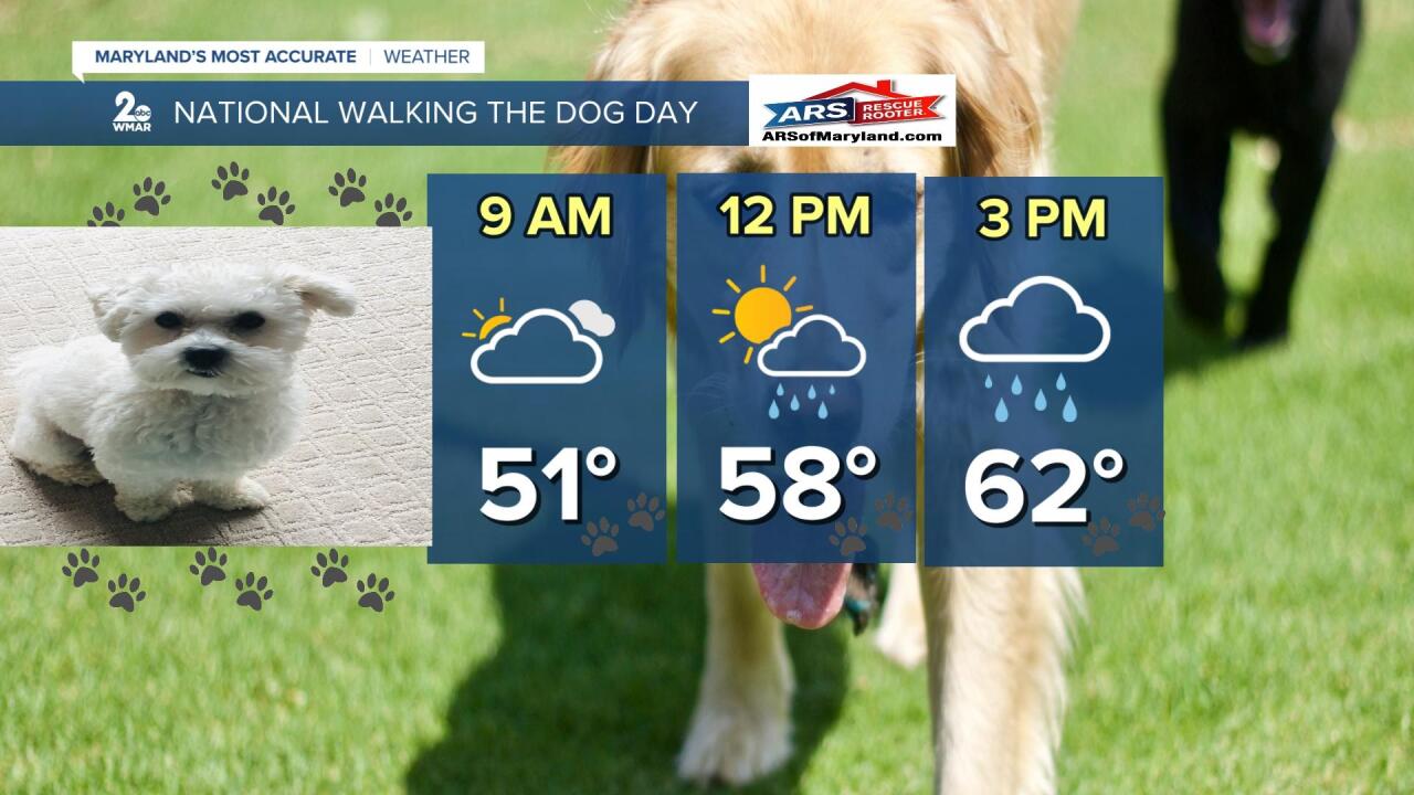 National Walk Dog.jpg