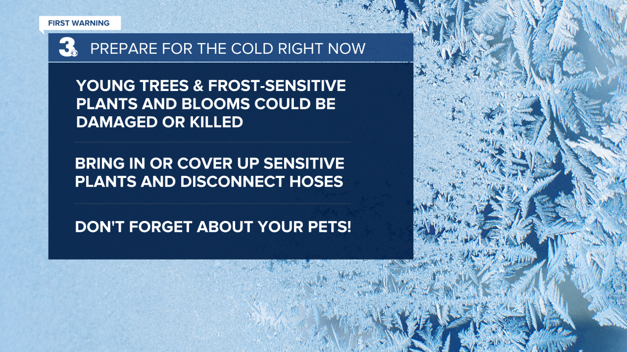 Frost Tips.png
