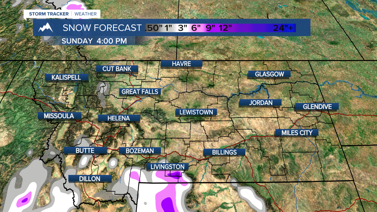 Snow totals by the weekend